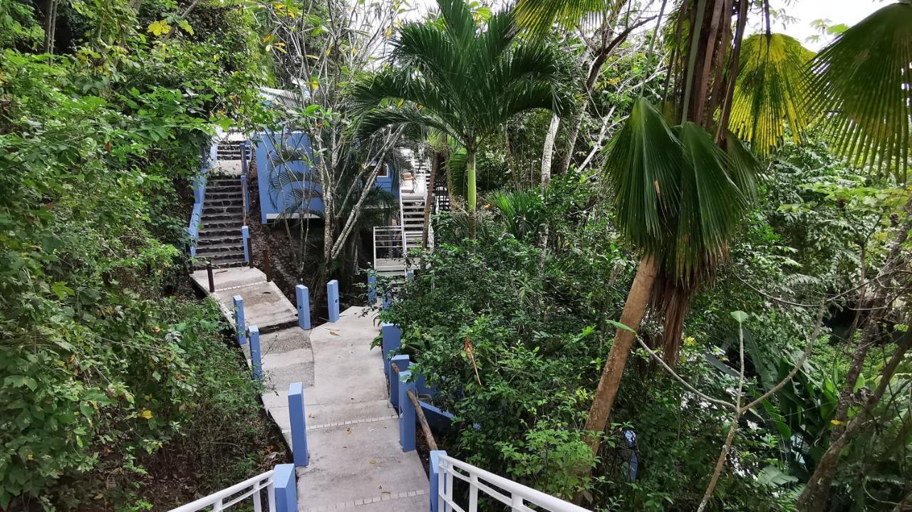 Moana Lodge Nicoya Exterior photo